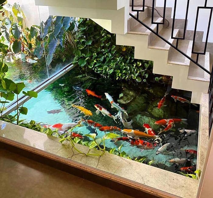 Thiết kế hồ cá trong nhà đẹp | Thiên Đức Stone