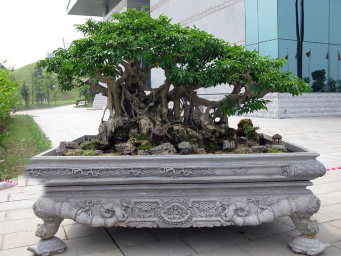 Chậu đá trồng cây | Thiên Đức Stone