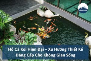 Thiên Đức Stone